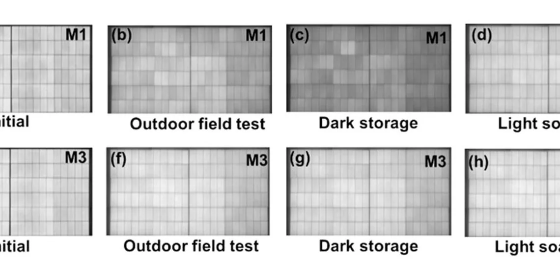 Des modules TOPCon récupèrent naturellement la dégradation UV sans perte de production